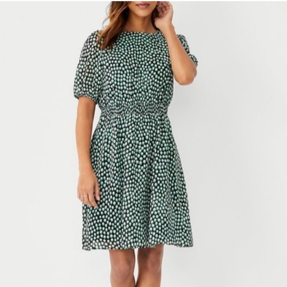 NWOT Ann Taylor Black Green Polka Dot Dress Size 10 Elastic Waist Short Sleeve